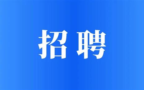 国企招聘 | 宜宾人才发展集团有限公司外派项目制员工招聘