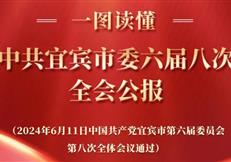 一图读懂丨中共宜宾市委六届八次全会公报